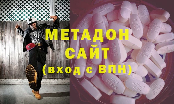 сатива Няндома