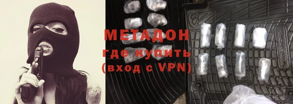 сатива Няндома