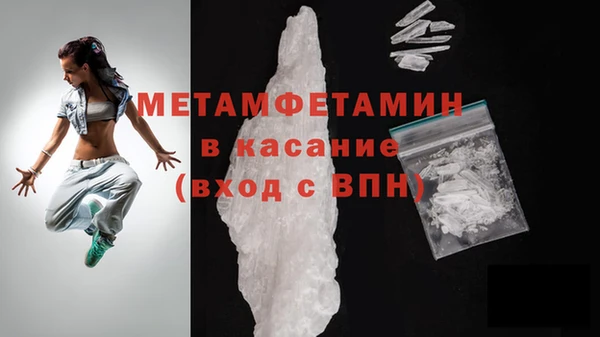 сатива Няндома
