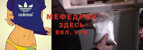 сатива Няндома