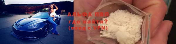 сатива Няндома