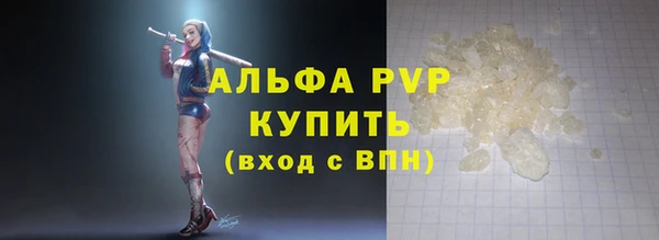 сатива Няндома