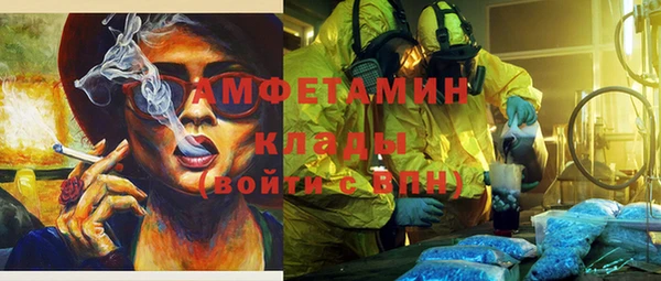 сатива Няндома