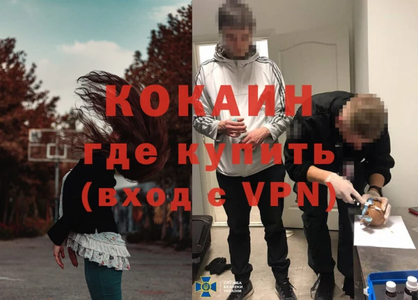 сатива Няндома