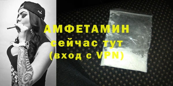 сатива Няндома