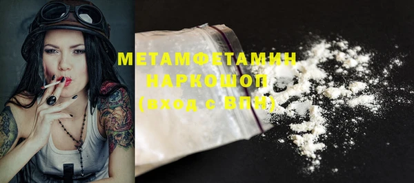 сатива Няндома