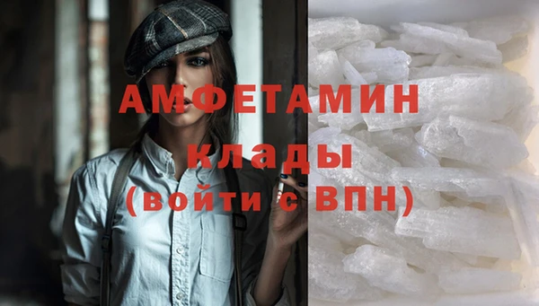 сатива Няндома